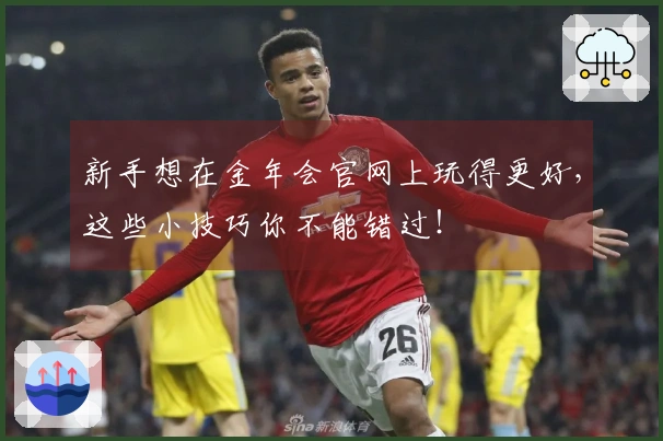 新手想在金年会官网上玩得更好，这些小技巧你不能错过！