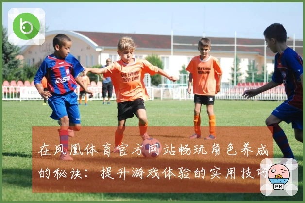 在凤凰体育官方网站畅玩角色养成的秘诀：提升游戏体验的实用技巧与攻略分享